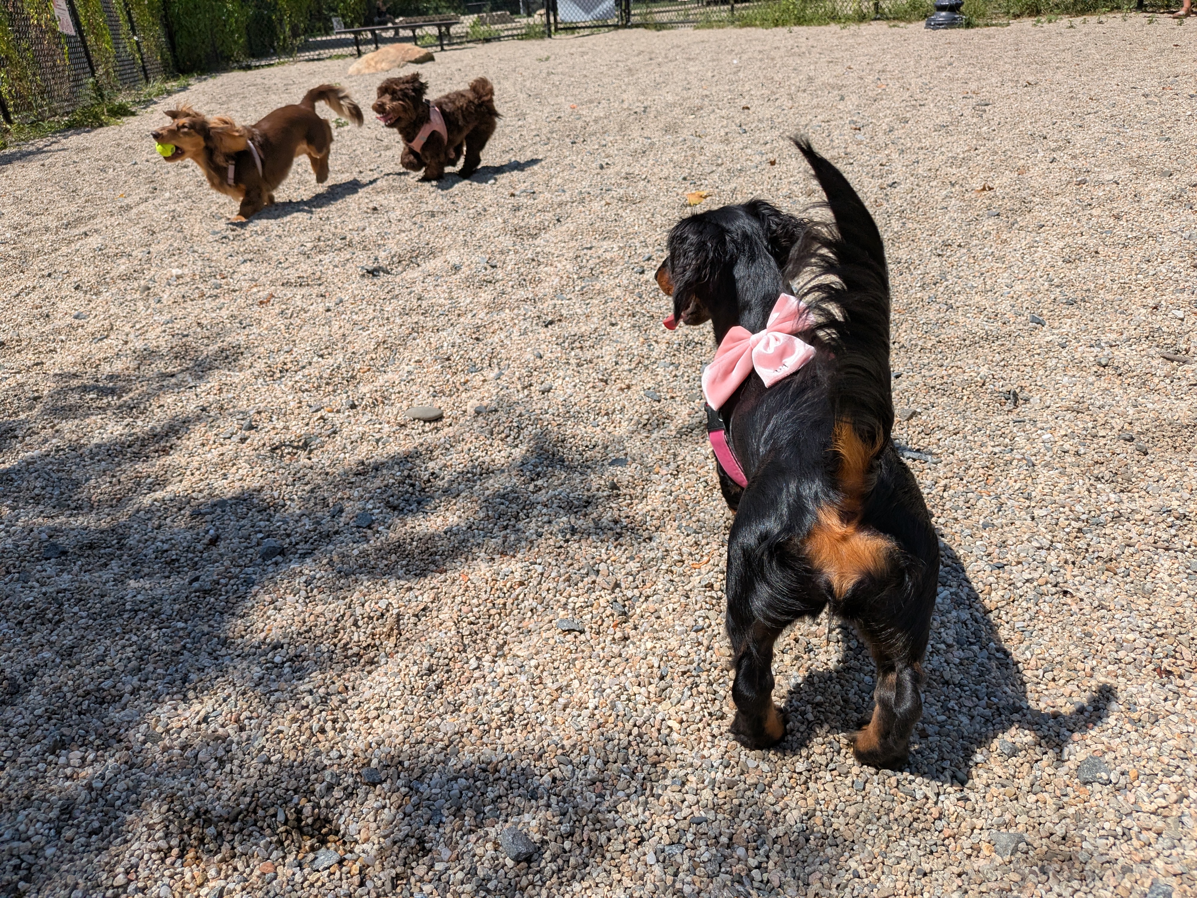 PJ showing attitude at the industry mixer