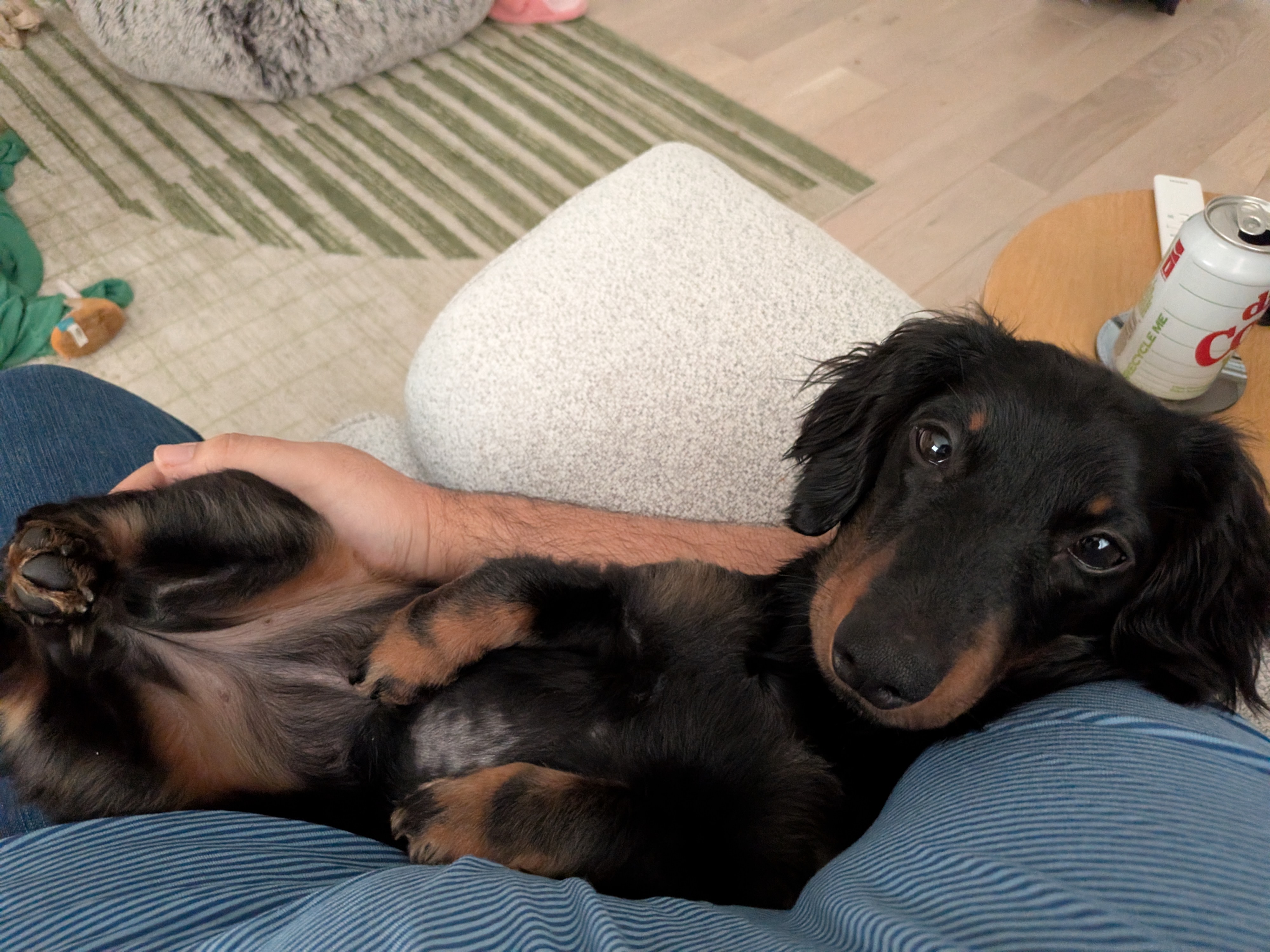 PJ being carried through the club by security